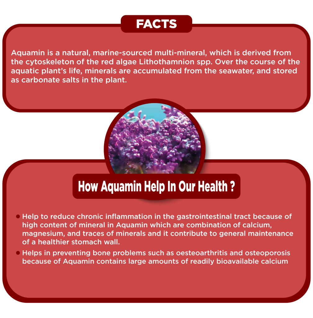 AQUAMIN