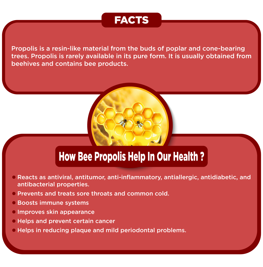 BEE PROPOLIS