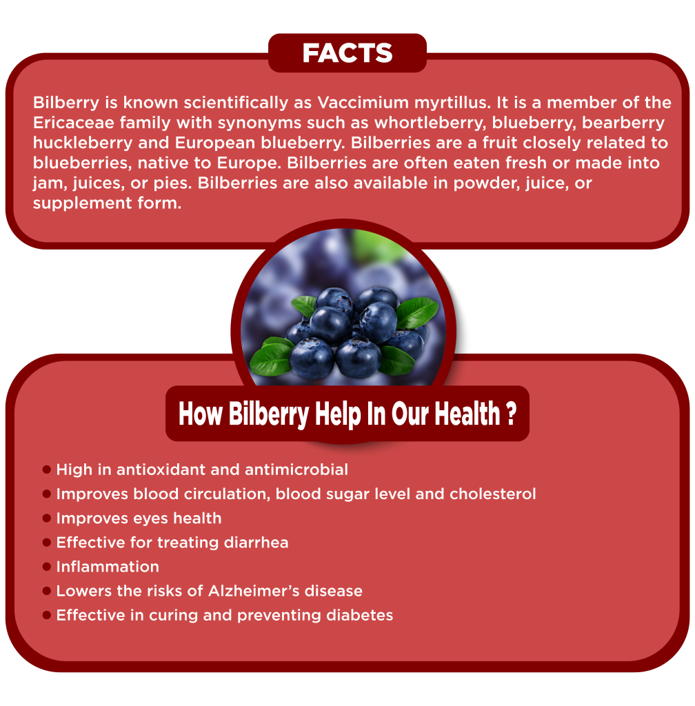 BILBERRY