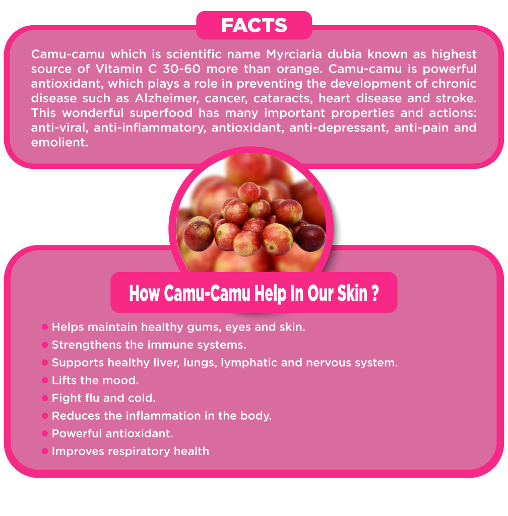 CAMU - CAMU