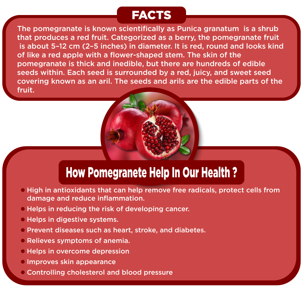 POMEGRANATE