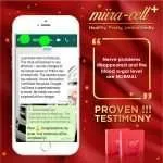 testimony 2