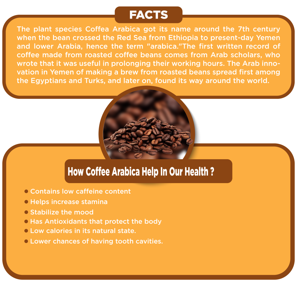 ARABICA COFFEE